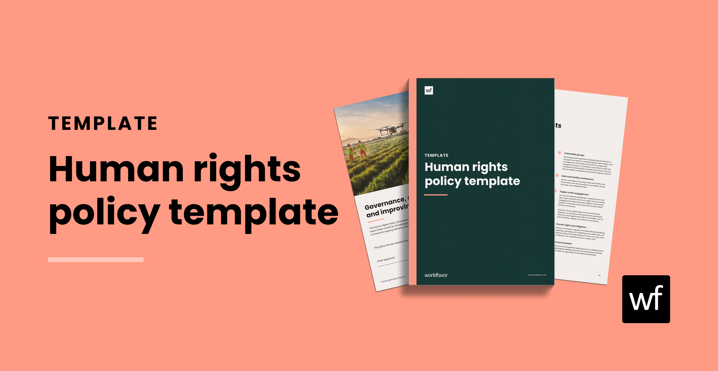 Free human rights policy template